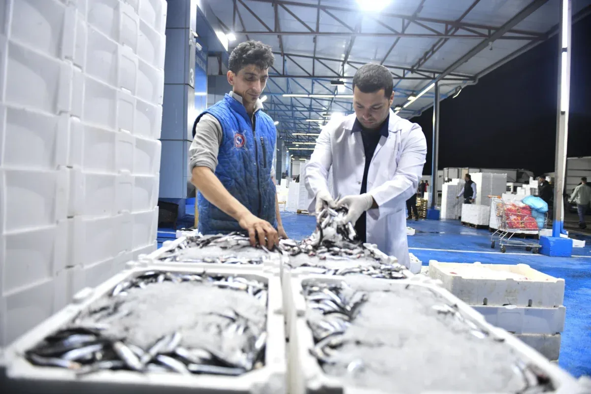 ABB’den Balık Hali’nde sıkı denetim